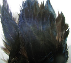 ������� ���� �� ���� Hen feathers ������ � ����� �������
